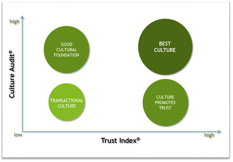  Culture Audit© Analysis & Feedback